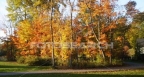 ohio-fall-colors_k9071079