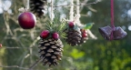 Homemade outdoor holiday decorations made from natural materials hanging in tree